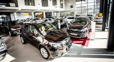 Opel Glob Cars Krosno